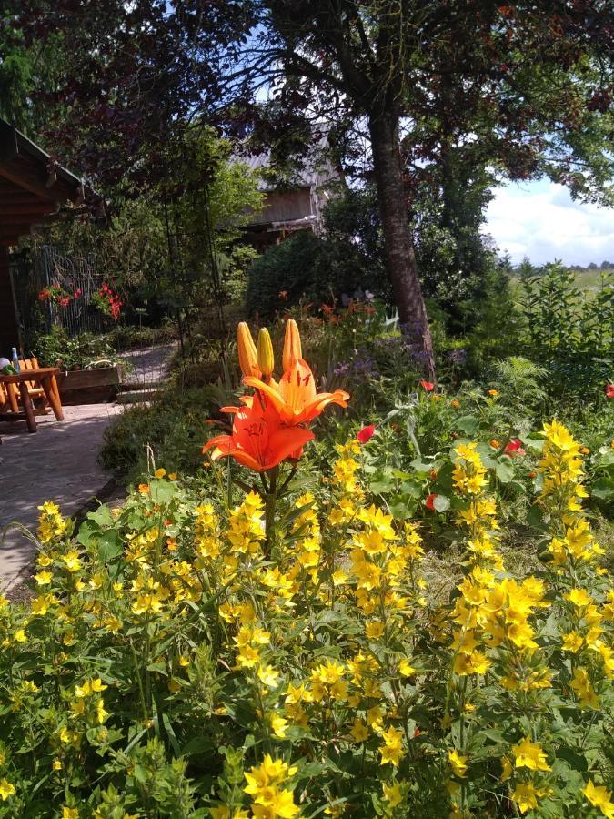 Lessive Chalet Le Paradou Adults Only المظهر الخارجي الصورة